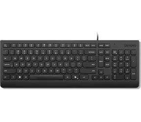 Lenovo Essential černá / Drátová klávesnice / CZ/SK layout / 1x USB-A