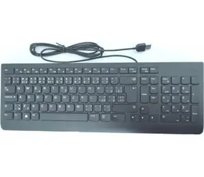 Lenovo Essential Wired Keyboard černá / Klávesnice / drátová / USB-A / CZ/SK