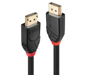 Lindy DisplayPort 1.2 kabel černá / Aktivní přípojný kabel / DisplayPort - DisplayPort / 15 m / 3840×2160 px