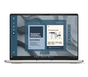 Dell Pro 16 PC16255 platinová / Notebook / 16" WUXGA / AMD Ryzen AI 5 340 / 16GB / 512GB SSD / W11P