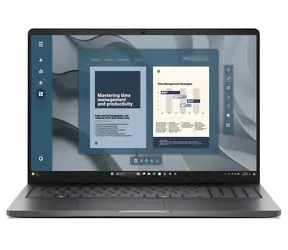Dell Pro 16 PC16255 černá / Notebook / 16" FHD+ / AMD Ryzen 3 210 / 8GB / 512GB SSD / W11P
