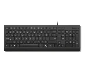 Lenovo Essential Wired Keyboard černá / Klávesnice / Drátová / USB-A / US