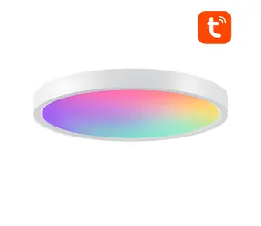 Gosund LB12 / Stropní světlo / Wi-Fi / Bluetooth / 24W / 2400lm / 2700-6500K / RGBCW