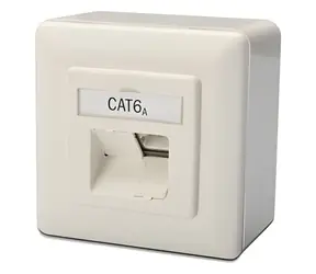 Digitus modulární dvojzásuvka CAT6A bílá / TP zásuvka / Class EA / stíněná / na omítku / LSA
