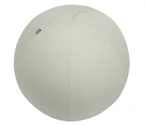 Leitz Ergo Cosy gymnastický míč světle šedá / Gymnastický míč / O 75 cm / nosnost 150 kg
