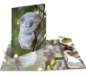 HERMA Desky s gumičkou Koala / Desky na dokumenty / A4 / Polypropylen / Lesklé / 3 chlopně