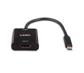 Lindy USB-C - DisplayPort černá / Převodník / 4K 144Hz / DisplayPort 1.4 / 21cm