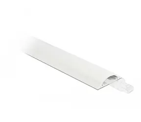 Delock Kabelový kanál samolepicí bílá / Kabelový kanál / 50 mm / Délka 1 m