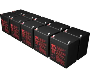 T6 Power RBC117/RBC118/RBC143/SYBT2 / Baterie pro UPS / 10x 12V 5Ah / pro APC Smart-UPS