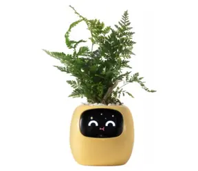 PlantsIO IVY žlutá / Chytrý květináč