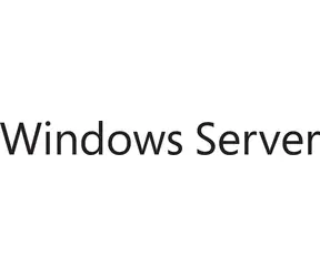 Microsoft Windows Server CAL 2025 CZ OEM