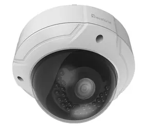 LevelOne FCS-3085 bílá / IP kamera / Dome / 4 MP / IR / PoE / IP66