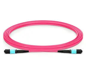 XtendLan FO patch MPO(f)-MPO(f) / Optický patch kabel / Multimode 50/125 OM4 / 12/12 / 3 m / Type B