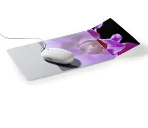 Durable Mouse Pad Plus šedá/transparentní / Podložka pod myš / s kapsou na foto / 300 x 200 mm