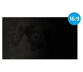Natec Owl 14" / Privátní filtr / 16:9 / Antireflexní