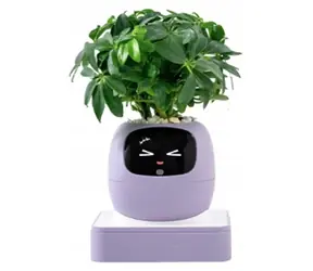 PlantsIO IVY gen 2 fialová / Chytrý květináč
