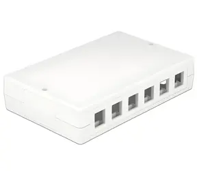 Delock Keystone Box 12-portová / Instalační box / bez osazení