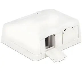 Delock Keystone box 2-portový s prachovou clonou