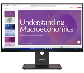 24" Lenovo ThinkVision T24D-40 černá / IPS  / 1920 x 1080 / 4ms / 250cd / 1500:1 / DP+HDMI+USB-C / VESA / Pivot