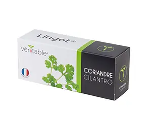 Véritable Bio semínka koriandru / pro chytré květináče Véritable