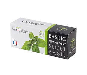 Véritable Bio semínka bazalky / pro chytré květináče Véritable
