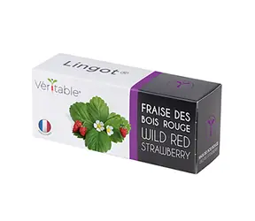 Véritable semínka lesní jahody / pro chytré květináče Véritable