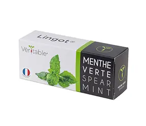 Véritable semínka máty / pro chytré květináče Véritable