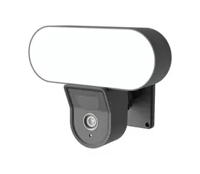 Gosund IP Smart FloodLight černá / IP Kamera / 1920x1080 / WiFI / SD / noční vidění / svícení