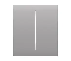 AJAX CenterButton (2-gang) - Středové dvou tlačítko pro LightSwitch mlhová