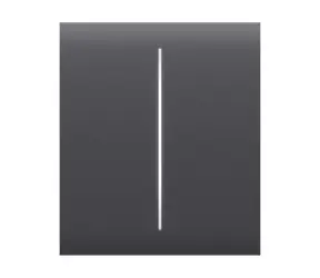 AJAX CenterButton (2-gang) - Středové dvou tlačítko pro LightSwitch grafitová