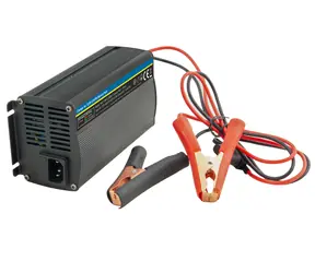 AVACOM Nabíječka WILSTAR 12.8V 20A pro baterie LiFePO4 