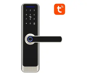 Avatto SDL-A270-S-5572 Digitální chytrý zámek WiFi stříbrná