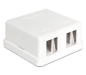 Delock Keystone Box pro 2 porty / na stěnu