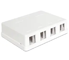 Delock Keystone Box 4-portový / na stěnu