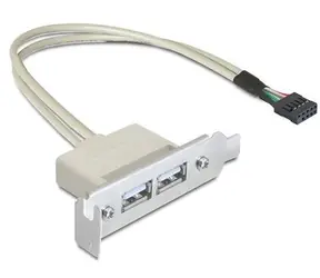 Delock záslepka do slotu USB 2.0 low profile / 2 porty
