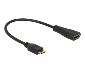 DeLock Cable High Speed HDMI with Ethernet - mini C male > A female