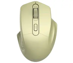 CANYON CNE-CMSW15GO zlatá /  Bezdrátová optická myš / 1600 DPI / 4 tlačítka / USB 2.4 Ghz / 2x AAA