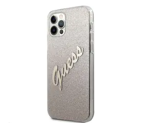 GUESS PC & TPU Vintage Zadní Kryt pro Apple iPhone 12 Pro Max Gradient zlatá
