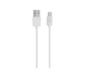 RealPower USB kabel USB 2.0 USB-A samec - Lightning konektor 1 m bílá