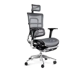 Diablo V-Master černo-šedá / ergonomická židle / nastavitelná / síťovaná / pojezdová kolečka / podnožka / nosnost 150 kg
