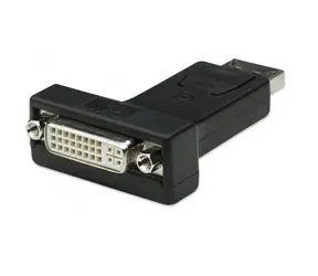Techly IADAP-DSP-229 Redukce DVI F - DisplayPort M