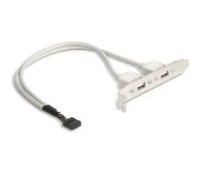 Delock Slot bracket 2 x USB 2.0 typ A (F) externí 0.3m bílá