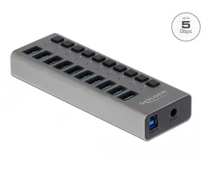 Delock Externí SuperSpeed USB Hub šedá / 10 portů