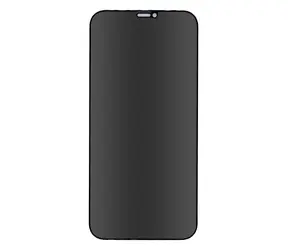 Forever Privacy Tvrzené sklo pro Apple iPhone 12 Pro Max 6.7"