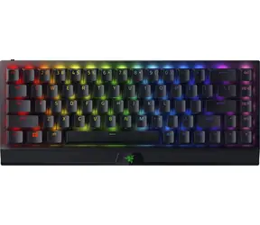 Razer BlackWidow V3 Mini HyperSpeed černá / Bezdrátová herní klávesnice / mechanická / USB-C / BT / Razer Green / US 