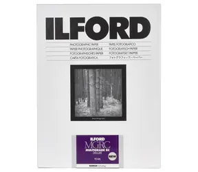 Ilford MG RC DL 44M (24 x 30.5 cm) / 10 listů / černobílý fotografický papír / perleťový