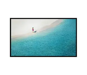 BlitzWolf BW-VS4 plátno / 100" / 16:9 / 223.4 x 126.5 cm / bezrámové 