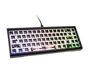 Ducky Tinker 65 Barebone Gaming Keyboard / ANSI-US-Layout / USB-C / 590g / černá 
