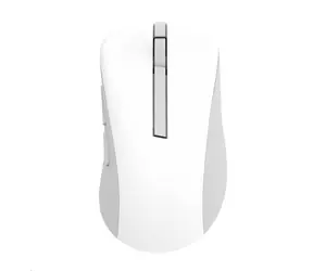 ASUS MD102 bílá / bezdrátová optická myš / kancelářská / optická / 1600 DPI / USB+BT 