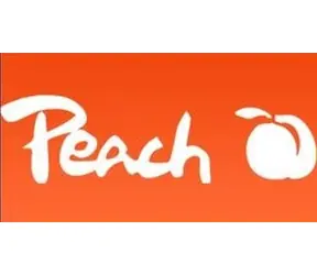 Peach alternativní cartridge Brother LC-3213 černá / pro DCP-J772 & MFC-J890 / 11ml / new chip